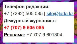 контакты