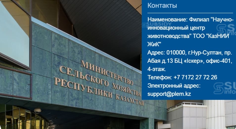 субсидия кз