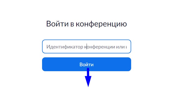 зум1