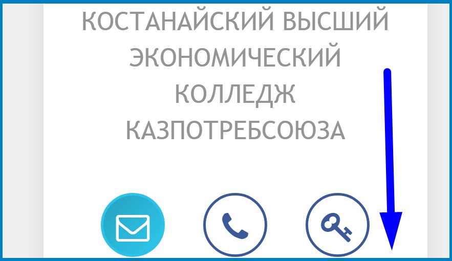 кекс-сова
